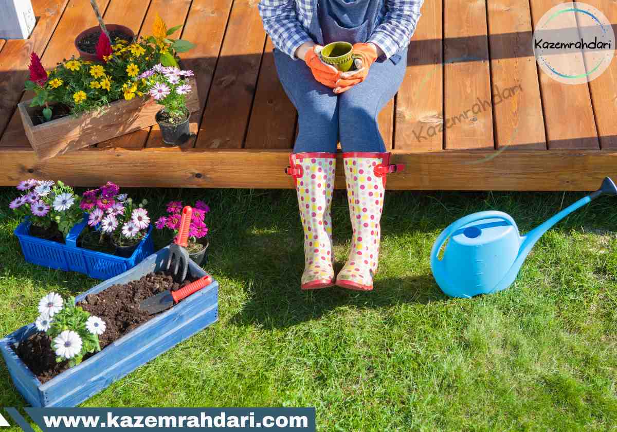 استراحت در هدف