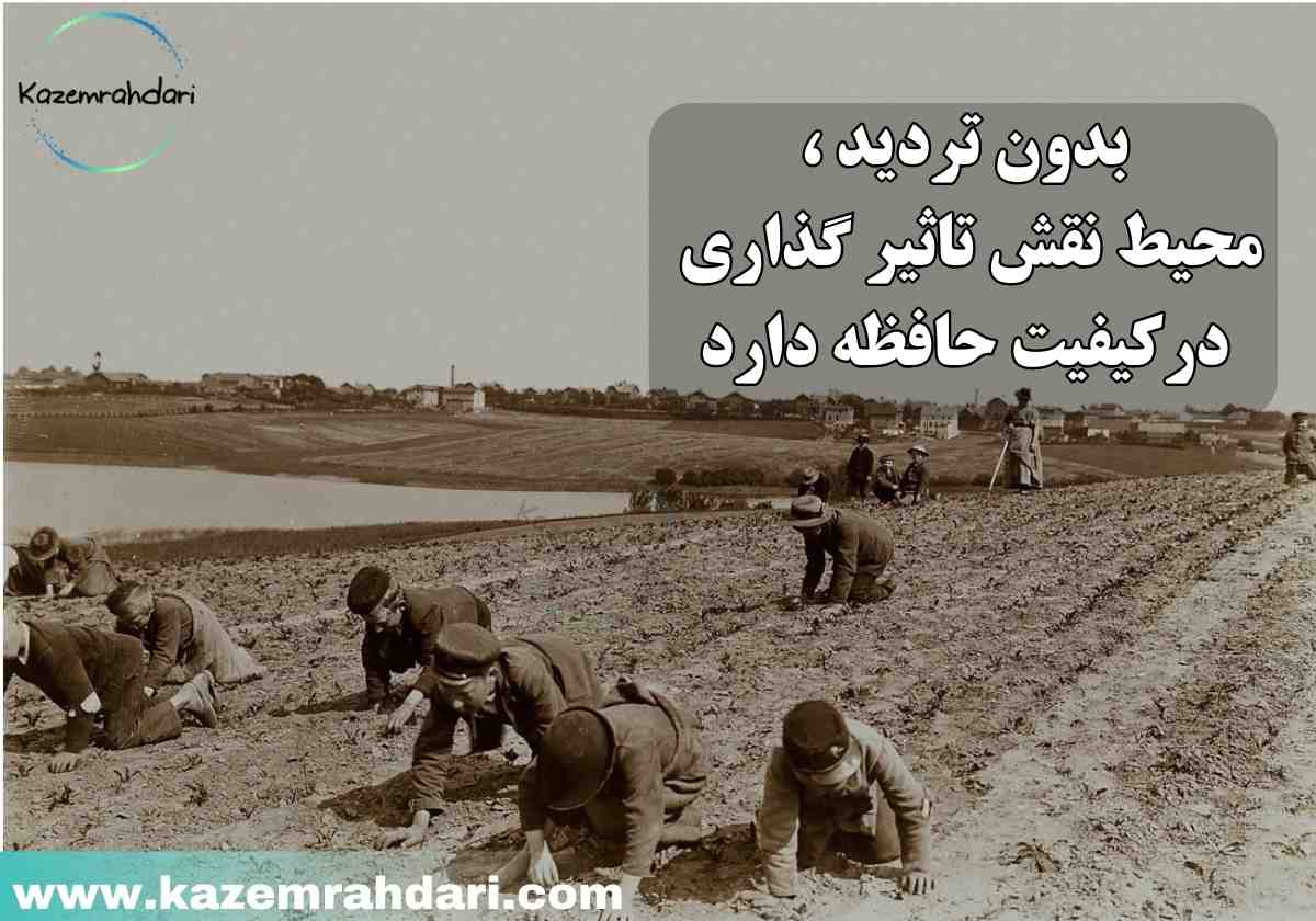 چرا حافظه ضعیفی دارم؟