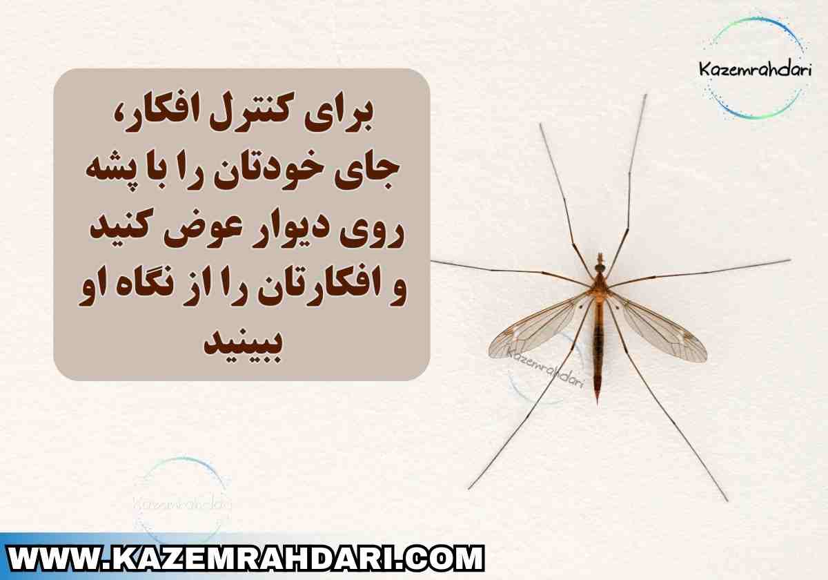 تمرکز در محل کار