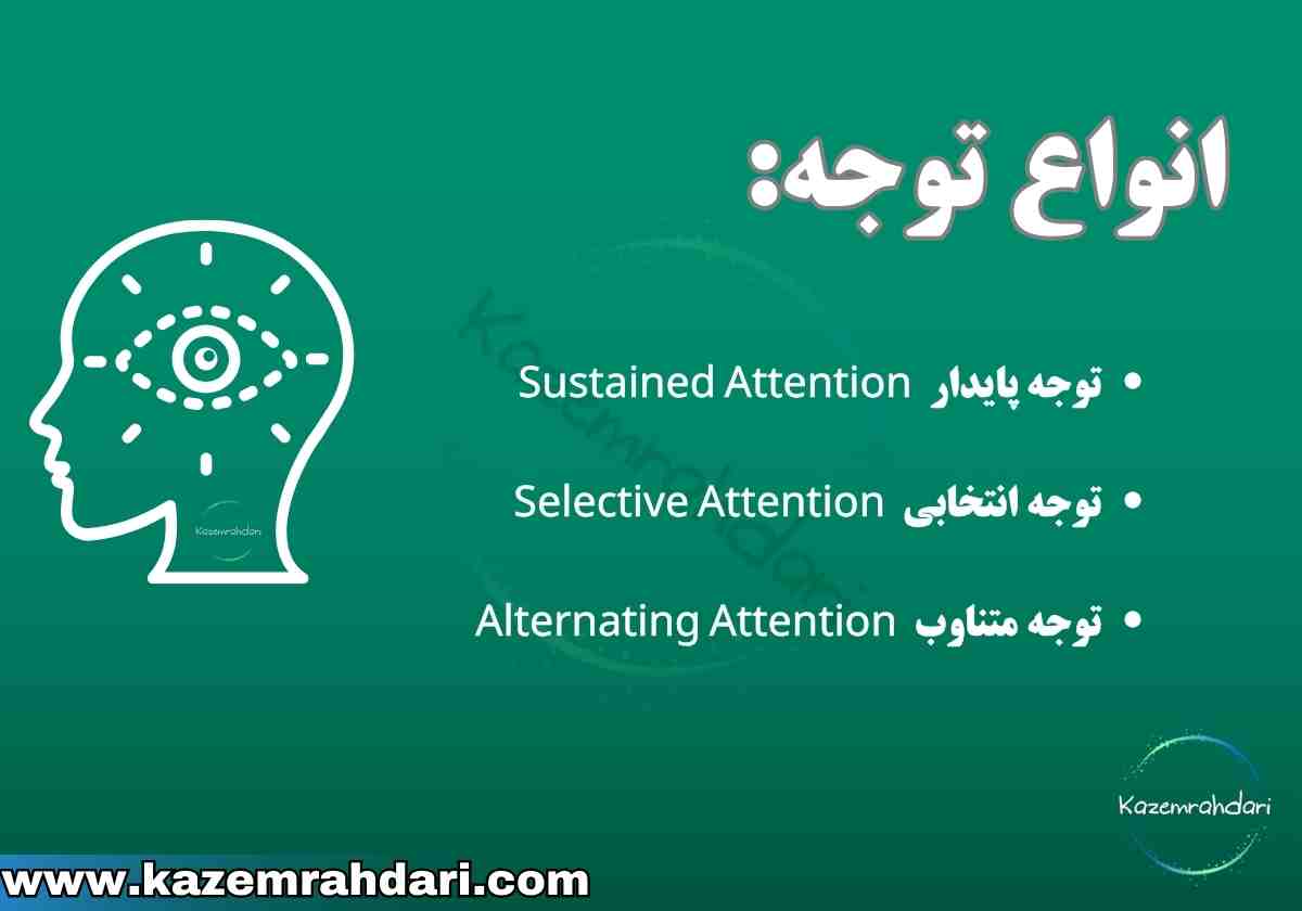 چند نوع توجه داریم