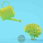 خوراکی های تقویت تمرکز