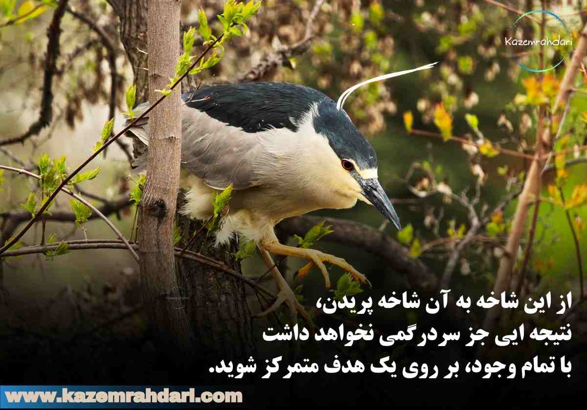 تمرکز بر اهداف